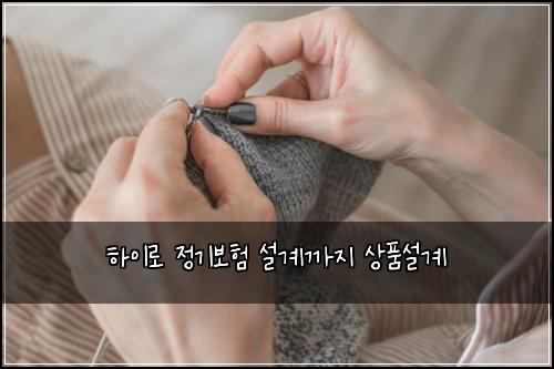 하이로 정기보험 설계까지  상품설계