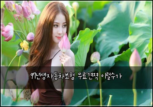 97년생자동차보험 무료견젹  이럴수가