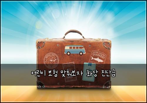 어린이 보험 맞춰보자  화상 진단금