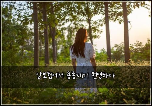 암보험에서 용종제거 현명하다