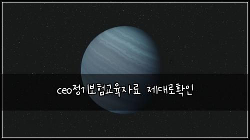ceo정기보험교육자료 제대로확인