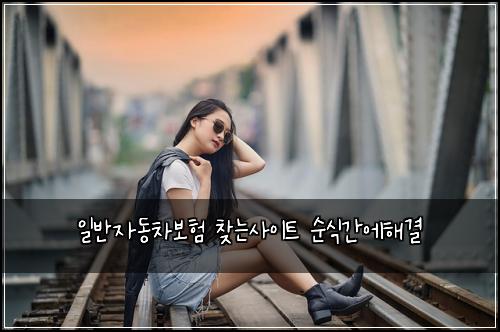 ์ผ๋ฐ์๋์ฐจ๋ณดํ ์ฐพ๋์ฌ์ดํธ ์์๊ฐ์ํด๊ฒฐ