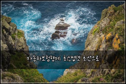 자동차보험형제 최신업뎃 최선으로