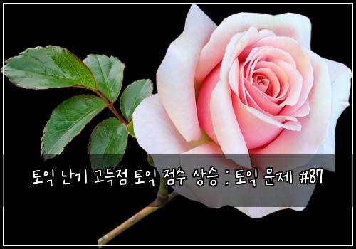 토익 단기 고득점 토익 점수 상승 : 토익 문제 #87