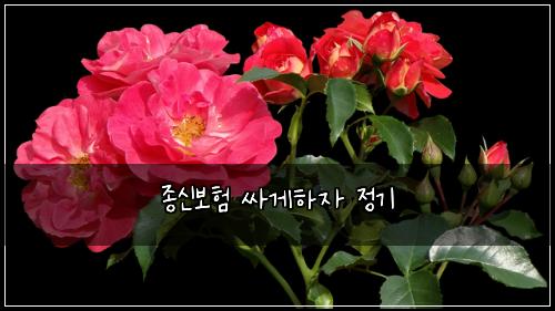 ์ข
์ ๋ณดํ ์ธ๊ฒํ์ ์ ๊ธฐ