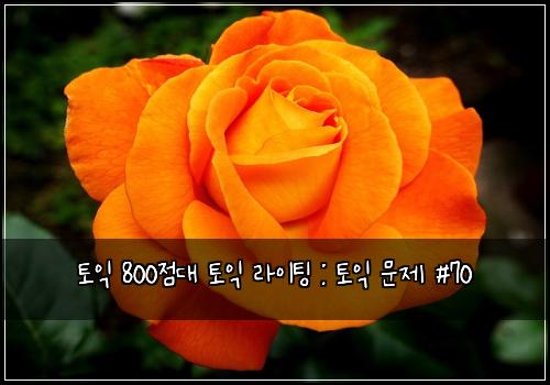 토익 800점대 토익 라이팅 : 토익 문제 #70