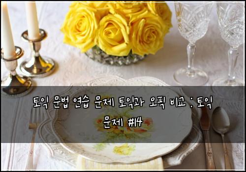 토익 문법 연습 문제 토익과 오픽 비교 : 토익 문제 #14