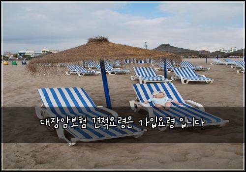 대장암보험 견적요령은  가입요령 입니다