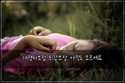 대형차보험 최강보장  아직도 모르세요