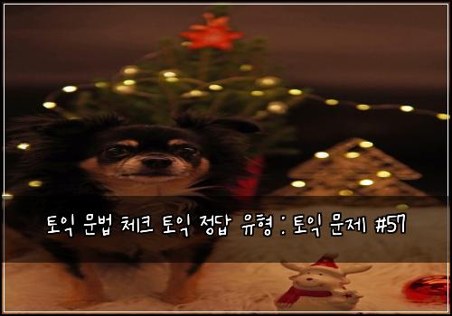 토익 문법 체크 토익 정답 유형 : 토익 문제 #57
