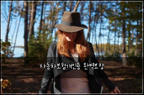 ์๋์ฐจ๋ณดํ๊ฐ์ธ์ฉ ์๋ฒฝ๋ณด์ฅ