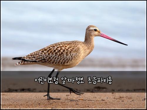 μ΄λ¦°μ΄λ³΄ν μμ§μ 보 μ΄μνλΉμ©