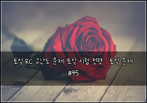 토익 RC 고난도 문제 토익 시험 전략 : 토익 문제 #45