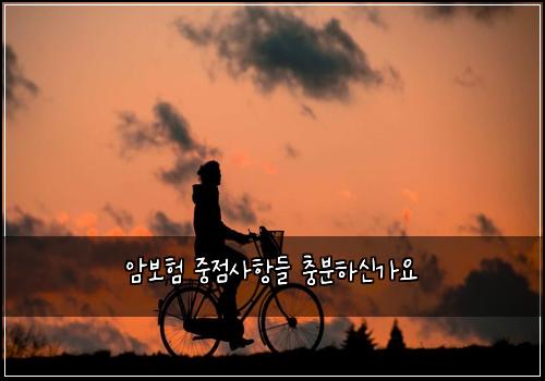 암보험 중점사항들  충분하신가요