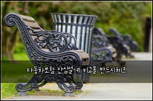 자동차보험 안심설계  비교몰 반드시체크