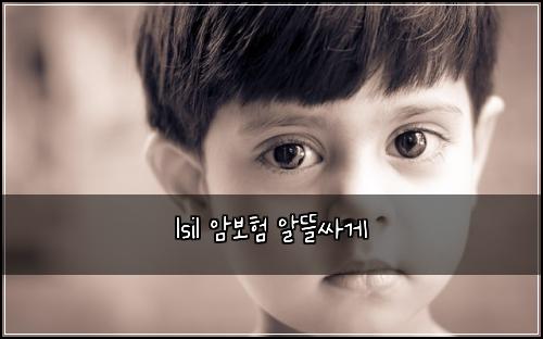 lsil 암보험 알뜰싸게 