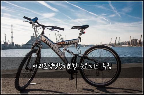 메리츠생명정기보험 중요체크  특징