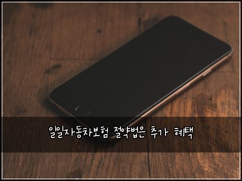 ์ผ์ผ์๋์ฐจ๋ณดํ ์ ์ฝ๋ฒ์ ์ถ๊ฐ ํํ