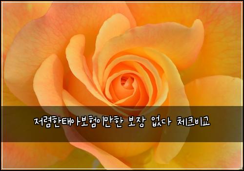 저렴한태아보험이만한 보장 없다 체크비교