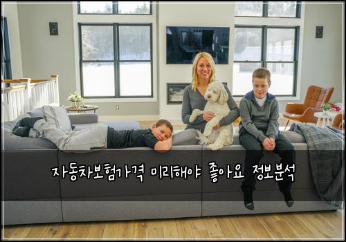 자동차보험가격 미리해야 좋아요 정보분석
