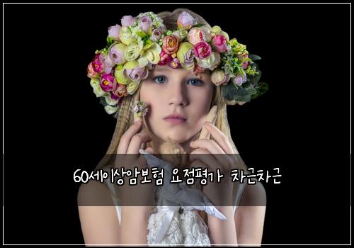 60세이상암보험 요점평가  차근차근