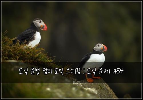 토익 문법 정리 토익 스피킹 : 토익 문제 #54