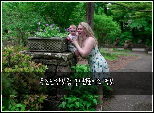 무진단암보험 간편초이스  정보