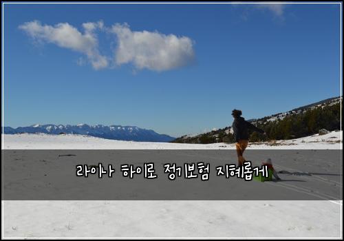 라이나 하이로 정기보험 지혜롭게 