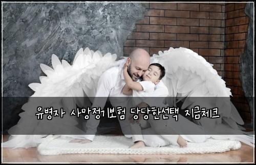 유병자 사망정기보험 당당한선택  지금체크