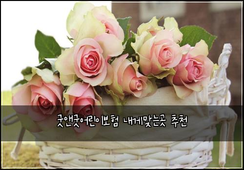 굿앤굿어린이보험 내게맞는곳  추천