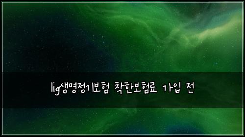 lig생명정기보험 착한보험료  가입 전