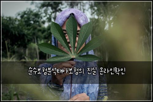 순수보험분석태아보험의 진실 온라인확인