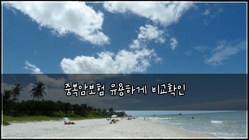 중복암보험 유용하게  비교확인