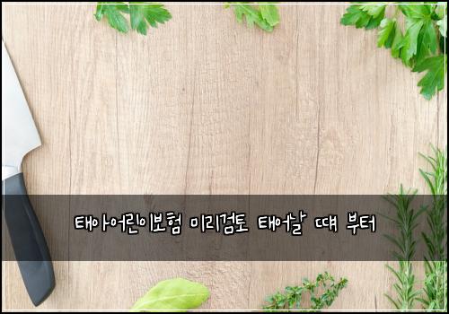 태아어린이보험 미리검토  태어날 떄 부터