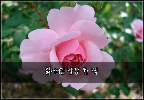 잃어버린 장갑 한 짝