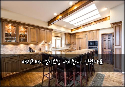 매리츠태아실비보험 대비한다  견적자료