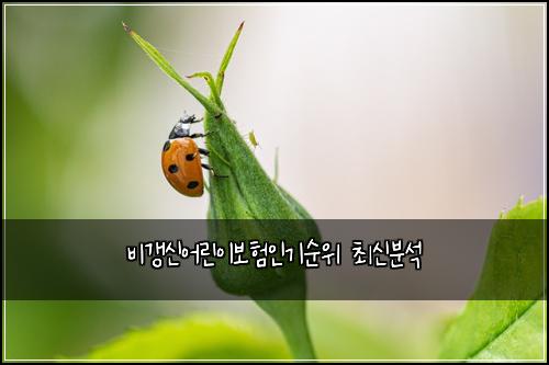비갱신어린이보험인기순위 최신분석