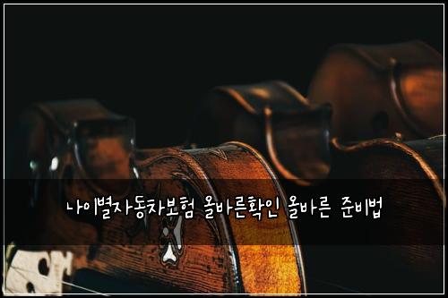 ๋์ด๋ณ์๋์ฐจ๋ณดํ ์ฌ๋ฐ๋ฅธํ์ธ ์ฌ๋ฐ๋ฅธ ์ค๋น๋ฒ