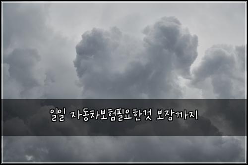 일일 자동차보험필요한것 보장까지
