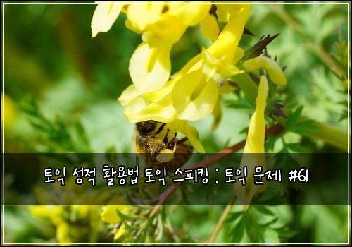 토익 성적 활용법 토익 스피킹 : 토익 문제 #61
