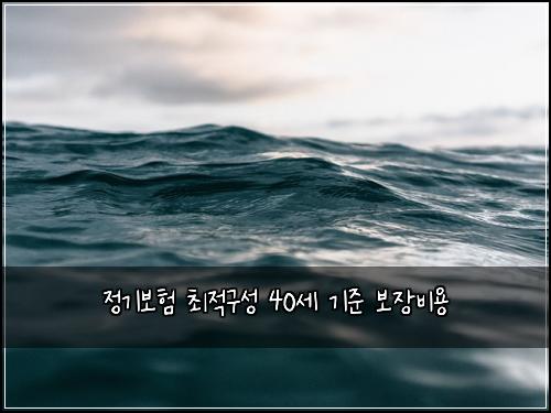 정기보험 최적구성  40세 기준 보장비용