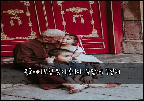 흥국태아보험 알아봅니다  알맞게 구성해