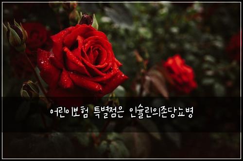 ์ด๋ฆฐ์ด๋ณดํ ํน๋ณ์ ์ ์ธ์๋ฆฐ์์กด๋น๋จ๋ณ