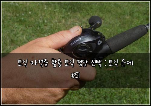 토익 자격증 활용 토익 정답 선택 : 토익 문제 #51