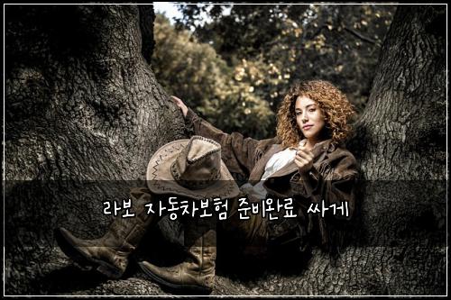 라보 자동차보험 준비완료  싸게