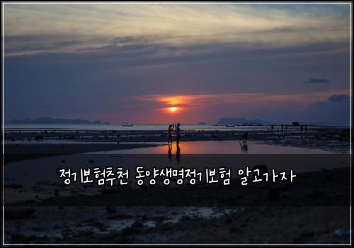 정기보험추천 동양생명정기보험 알고가자