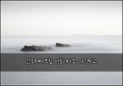 산모태아보험 서둘러야죠  가격비교