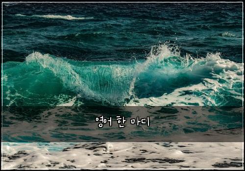영어 한 마디