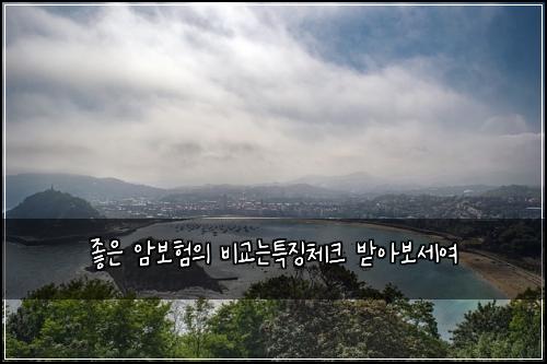 좋은 암보험의 비교는특징체크 받아보세여