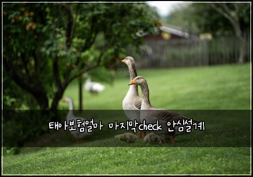 태아보험얼마 마지막check 안심설계